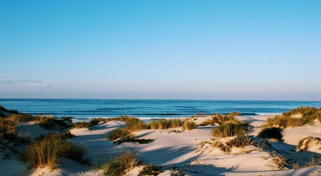 Sun & Wave Apartment Peniche Zewnętrze zdjęcie